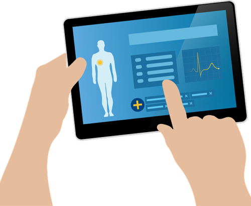 ehr-1476525_640